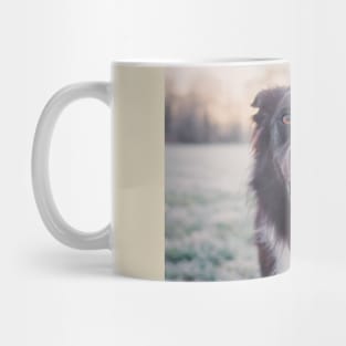 Overjoyed border collie Mug